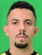 弗拉维奥·梅德罗斯