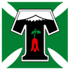 主队