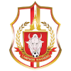 主队
