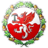 主队