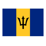 主队