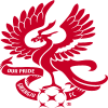 主队