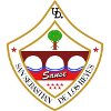 主队