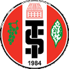 主队
