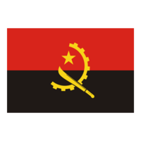 主队