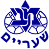 主队