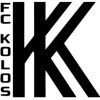 主队