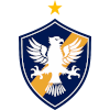 主队
