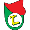 主队