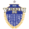 主队