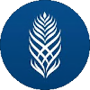 主队
