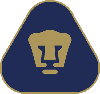 主队