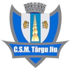 主队
