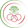 主队