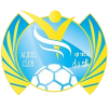 主队
